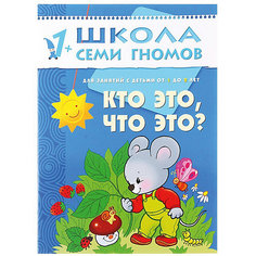 Развивающая книга "Второй год обучения. Кто это? Что это?" Мозаика Синтез