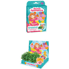 Набор для выращивания "Живая открытка" - Замок принцессы Happy Plant Бумбарам