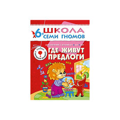 Седьмой год обучения "Где живут предлоги", Школа Семи Гномов Мозаика Синтез