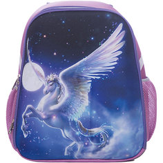 Рюкзак школьный каркасный Пегас Centrum