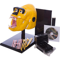 Творческий набор "Горилла", Edu-Toys