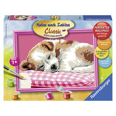 Раскрашивание по номерам «Спящий щенок» Размер картинки – 24*18 см Ravensburger