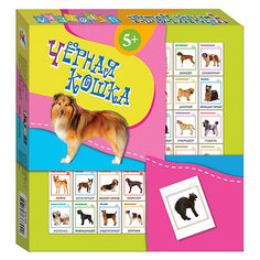 Игротека "Черная кошка", Дрофа-Медиа