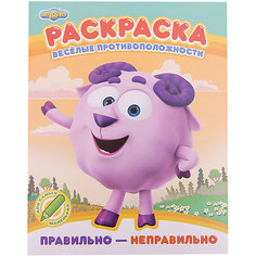 Раскраска "Смешарики. Веселые противоположности" Правильно - неправильно ND Play