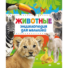 Энциклопедия для малышей "Животные" Росмэн