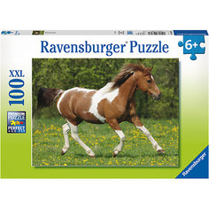 Пазл "Пегий конь" XXL 100 шт Ravensburger