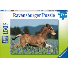 Пазл «Молодая лошадь» XXL 150 шт Ravensburger