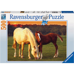 Пазл «Красивые лошади» 500 шт Ravensburger