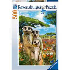 Пазл «Сурикаты» 500 шт Ravensburger