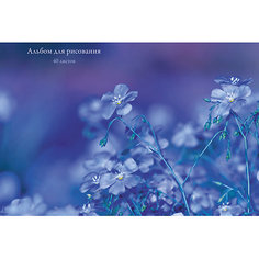 Альбом для рисования Канц-Эксмо "Сиреневые цветы", 40 листов