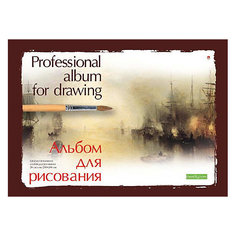 Альбом для рисования Альт "Профессиональная" на склейке, А4, 20 листов