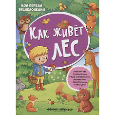 Книжка с наклейками "Как живёт лес" Fenix