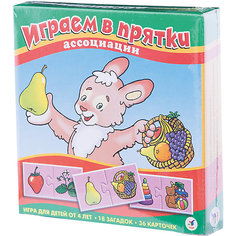 Ассоциации. Играем в прятки, Дрофа-Медиа