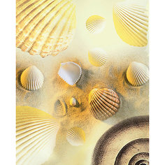 ACTION! Тетрадь на кольцах РАКУШКИ