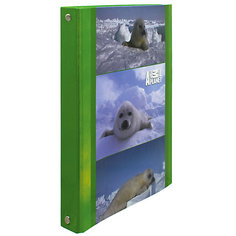 ACTION! Тетрадь на кольцах ANIMAL PLANET