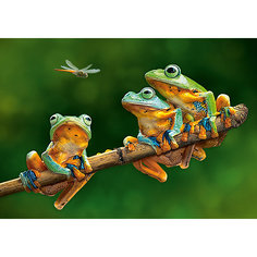 Пазл "Лягушки", 500 деталей, Castorland