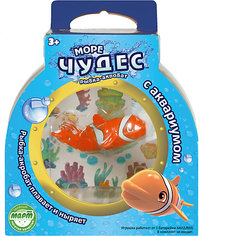 Рыбка –акробат Лаки с аквариумом, Море чудес