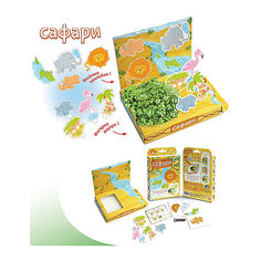 Набор для выращивания "Сафари", Happy Plant Бумбарам