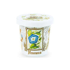 Набор для выращивания "Ипомея" Rostok Visa Бумбарам