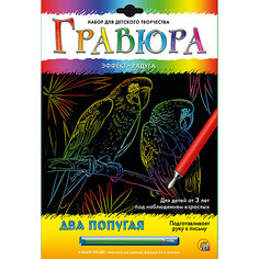 Гравюра А4 в конверте "Два попугая" Рыжий кот