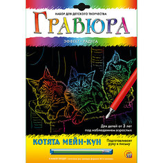 Гравюра А4 в конверте "Котята Мейн-кун"