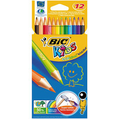 BIC Карандаши цветные  Эволюшен 12 цветов