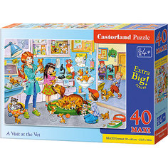 Макси-пазл Castorland "Ветклиника", 40 деталей