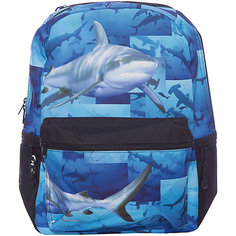 Рюкзак "Sharks", цвет (черный/мульти) Mojo PAX