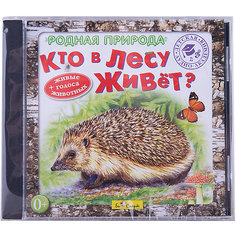 Би Смарт CD. Родная природа. "Кто в лесу живет?"