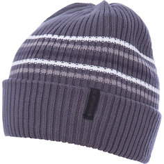 Шапка ICEPEAK для мальчика