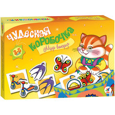 Чудесная коробочка. Мир вокруг Дрофа Медиа