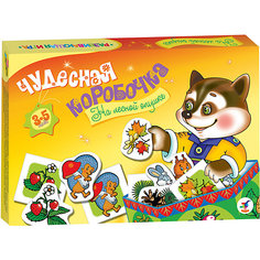 Чудесная коробочка. На лесной опушке Дрофа Медиа