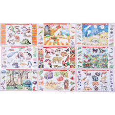 Набор карточек. Детям о животных Дрофа Медиа