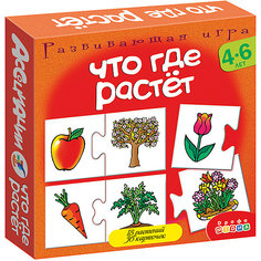 Ассоциации. Что где растет. Дрофа Медиа