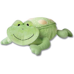 Светильник-проектор звездного неба  Frog, Summer Infant