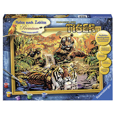 Раскрашивание по номерам «Тигры» Размер картинки – 40*30 см Ravensburger