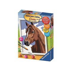 Раскрашивание по номерам «Лошадь» Ravensburger