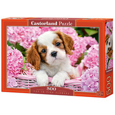 Пазл Castorland "Щенок в цветах" 500 деталей