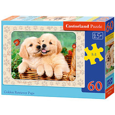 Пазл Castorland "Щенки ретривера" 60 деталей MIDI