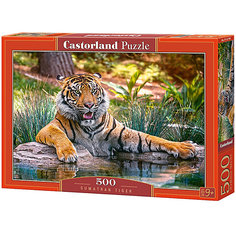 Пазл Castorland "Тигр" 500 деталей