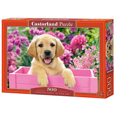 Пазл Castorland "Щенок в коробке" 500 деталей