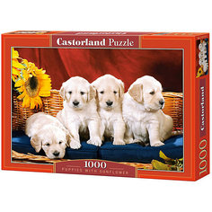 Пазл Castorland "Щенки" 1000 деталей