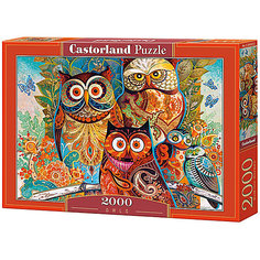 Пазл Castorland "Совы" 2000 деталей