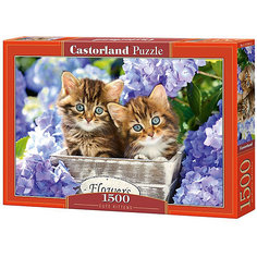 Пазл Castorland "Два котенка" 1500 деталей