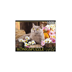 Пазл Konigspuzzle "Британский кот" 1000 элементов