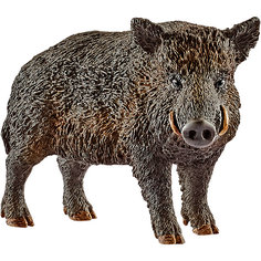 Коллекционная фигурка Schleich "Дикие животные" Кабан
