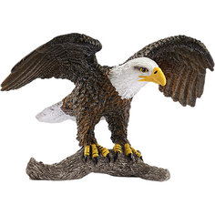 Коллекционная фигурка Schleich "Дикие животные" Белоголовый орёл