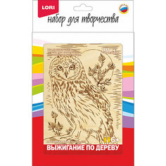 Выжигание в рамке "Полярная сова" Lori