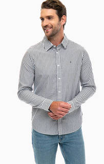 Хлопковая рубашка в полоску Calvin Klein Jeans