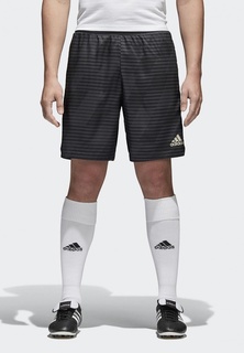 Шорты спортивные adidas